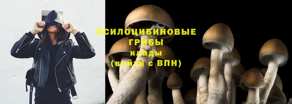 прущий лед Абдулино