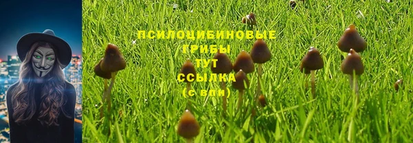 прущий лед Абдулино